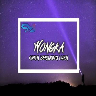 AA CINTA BERUJUNG LUKA's cover