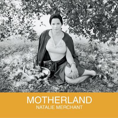 Put the Law on You By Natalie Merchant's cover