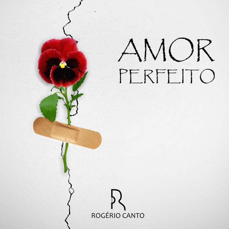 Rogério Canto's avatar image