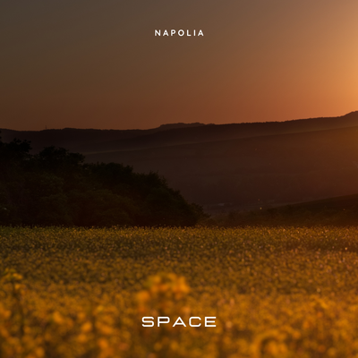 Space By Napolia's cover