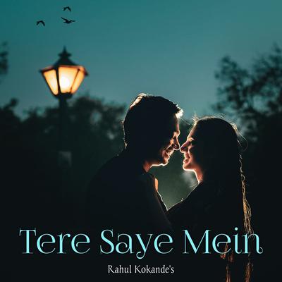 Tere Saye Mein's cover