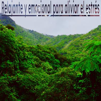 Música para Sanar Mientras Duermes y Despertar Feliz Musica Relajante Para Dormir By Radame ambiental's cover