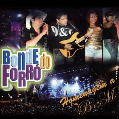 Meu Segredo By Bonde do Forró's cover