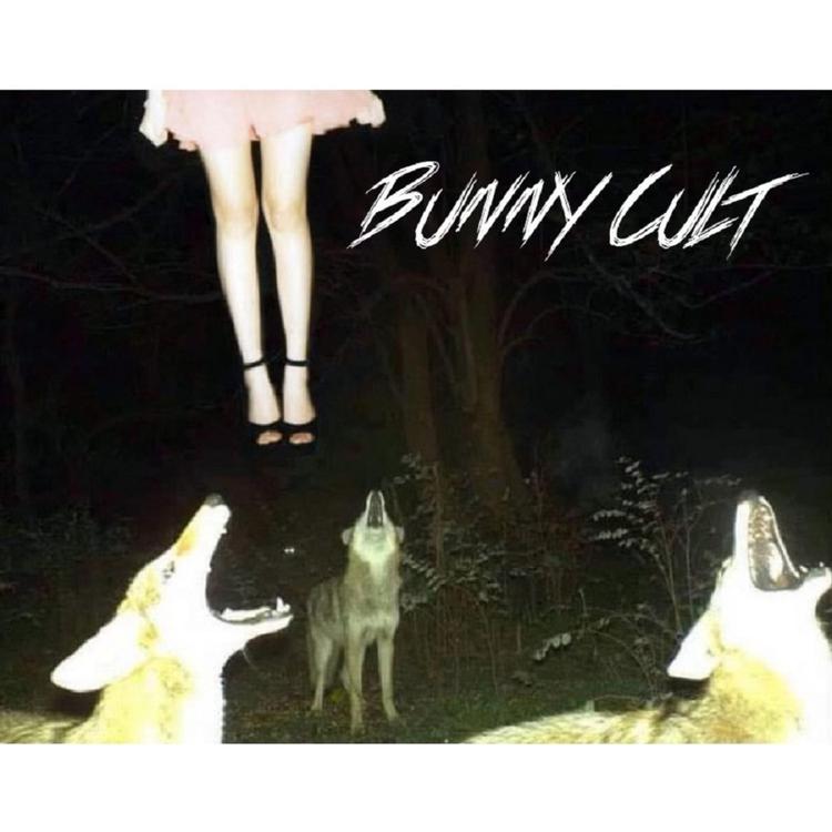 Bunny Cult's avatar image