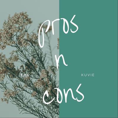 Pros n Cons's cover