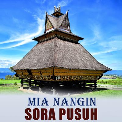 SORA PUSUH's cover