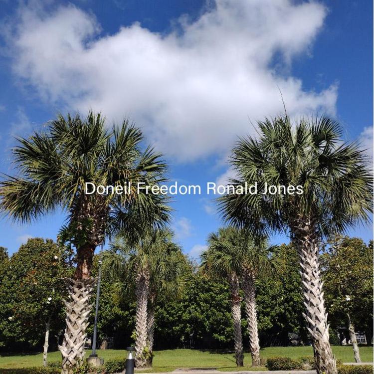 Doneil Freedom Ronald Jones's avatar image