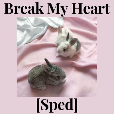 Break My Heart [Sped] By Dua Llipa's cover