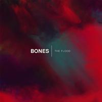 Bones's avatar cover