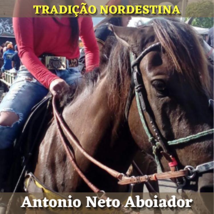 Antonio Neto Aboiador's avatar image