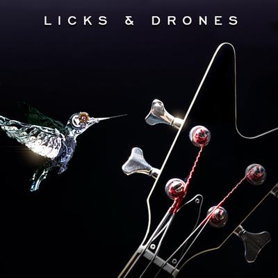 Licks & Drones's cover