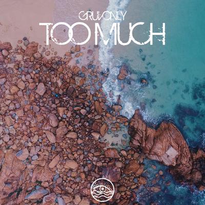 Too Much By Gruvonly's cover