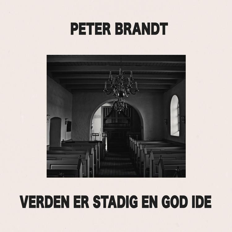 Peter Brandt's avatar image