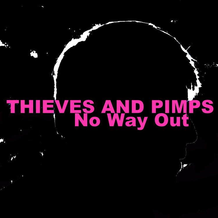 THIEVES AND PIMPS's avatar image