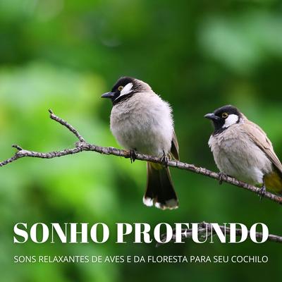 Sonho Profundo: Sons Relaxantes De Aves E Da Floresta Para Seu Cochilo's cover