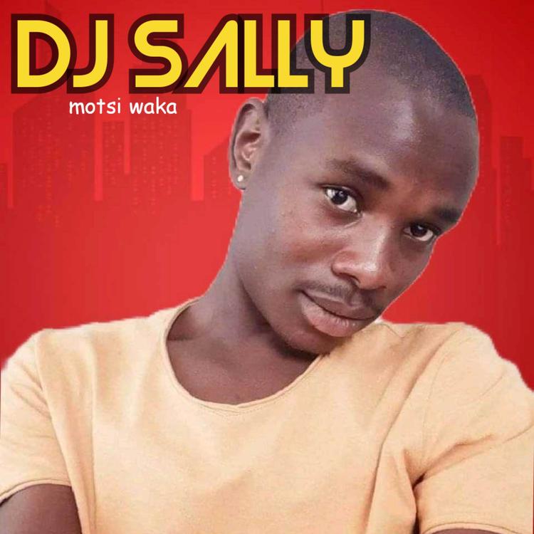 DJ Sally's avatar image