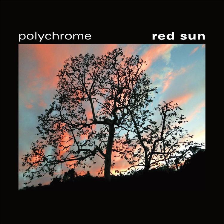 POLYCHROME's avatar image