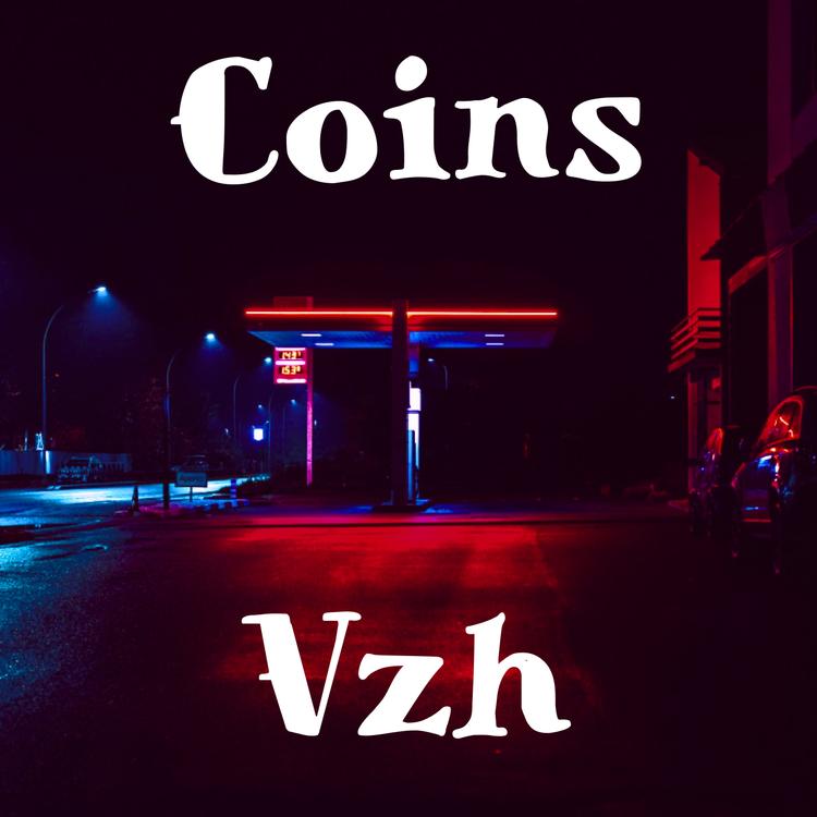 vzh's avatar image