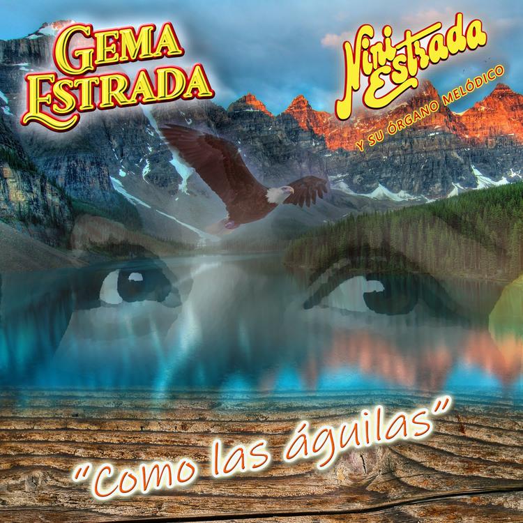 Gema Estrada's avatar image