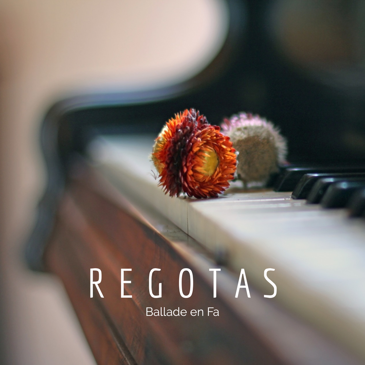 Regotas's avatar image