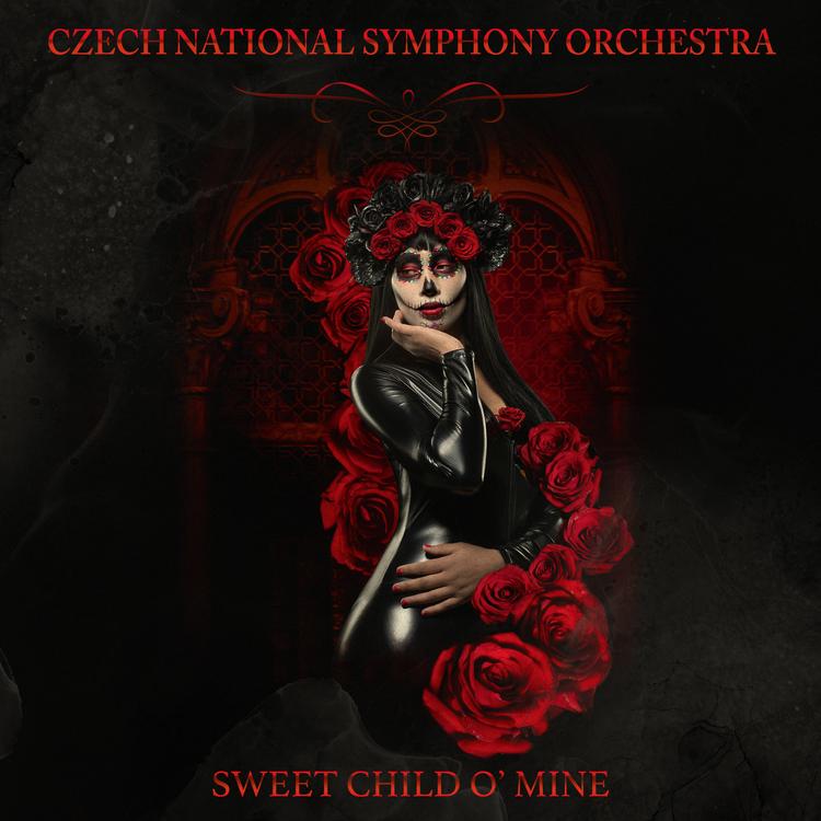 Czech National Symphony Orchestra's avatar image