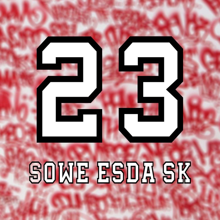 sowe esda sk's avatar image
