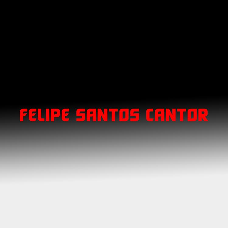 FELIPE SANTOS CANTOR's avatar image