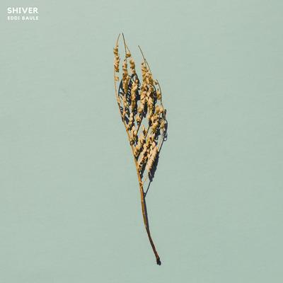 Shiver's cover