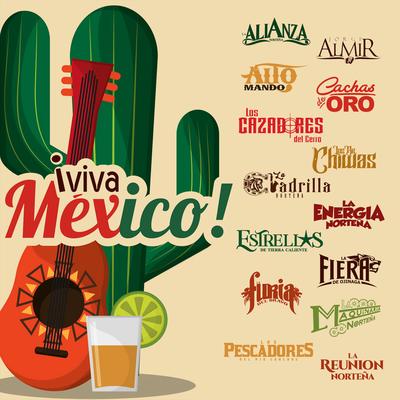 ¡Viva México!'s cover