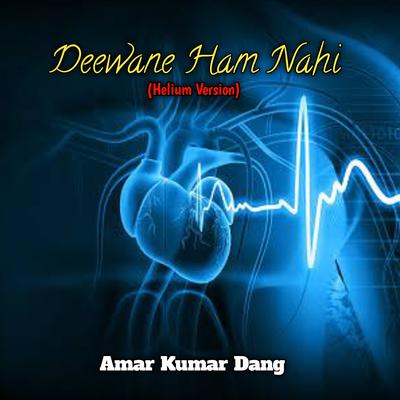 Deewane Ham Nahi (Helium Version)'s cover