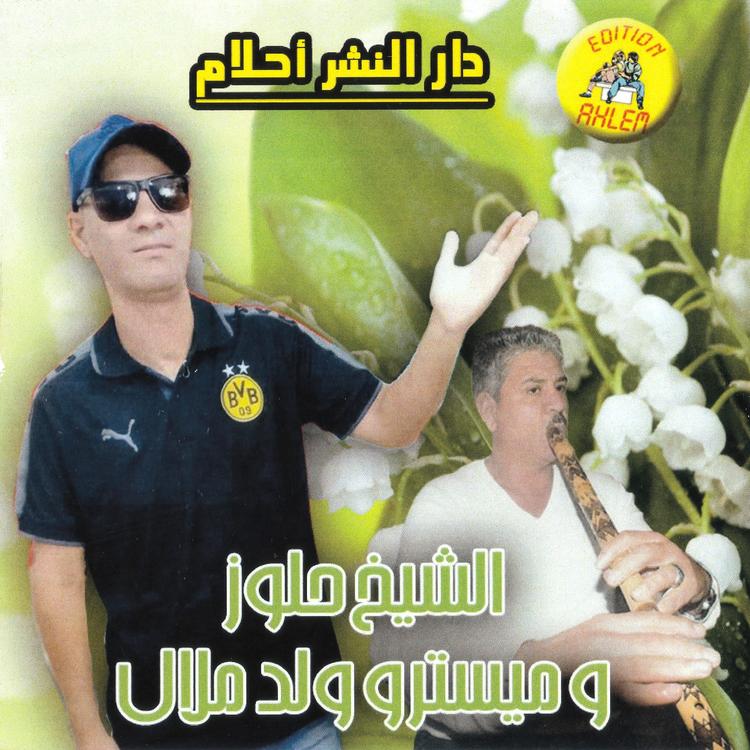 Cheikh Hallouz's avatar image
