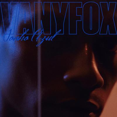 Vanyfox's cover