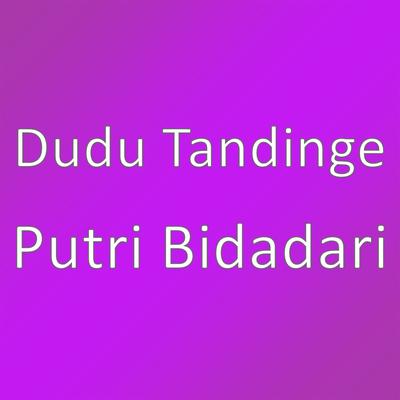 Dudu Tandinge's cover