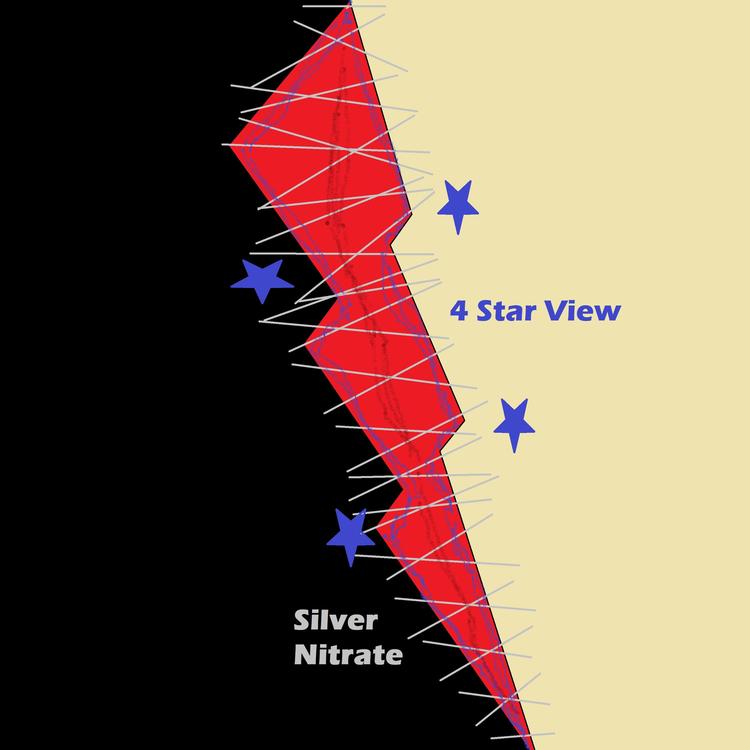 4 Star View's avatar image