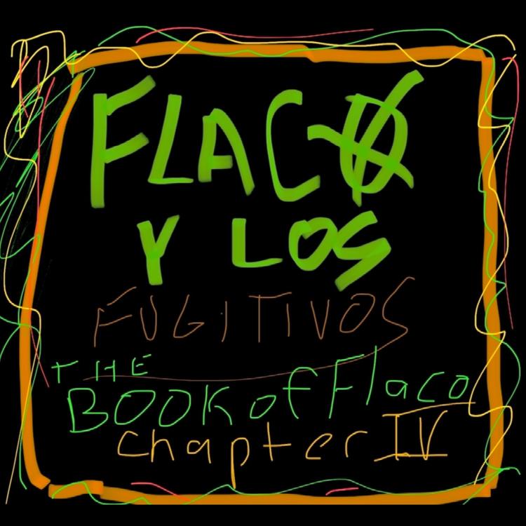 Flaco Y Los Fugitivos's avatar image