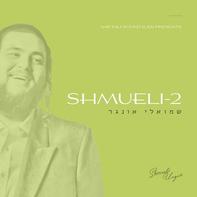 Shmueli-2's cover