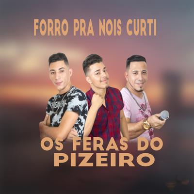 Forró pra  Nois Curtir's cover