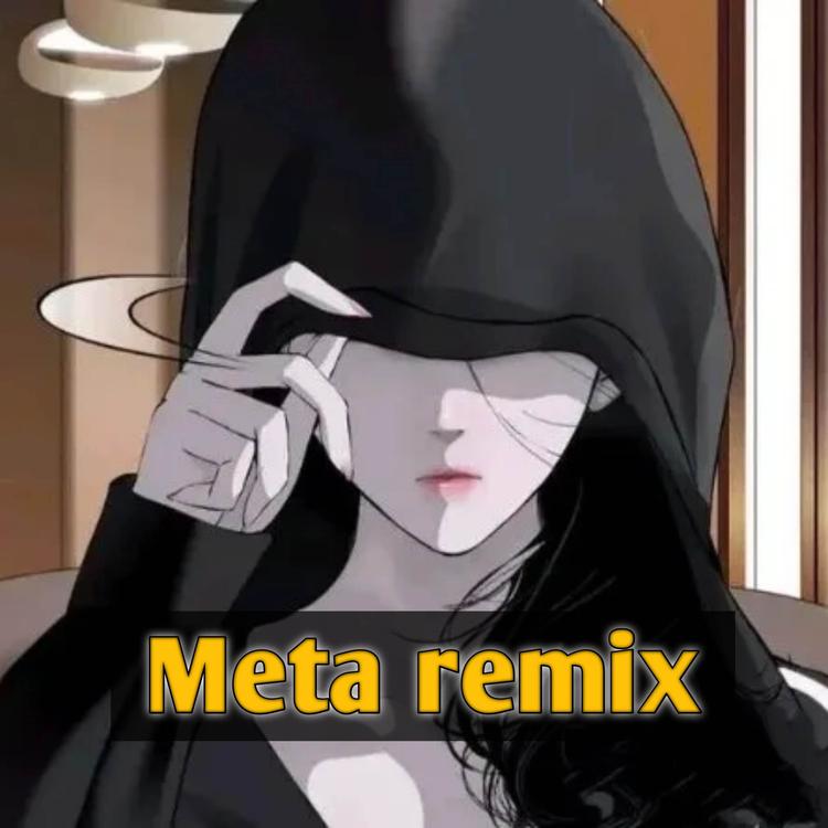 Meta remix's avatar image