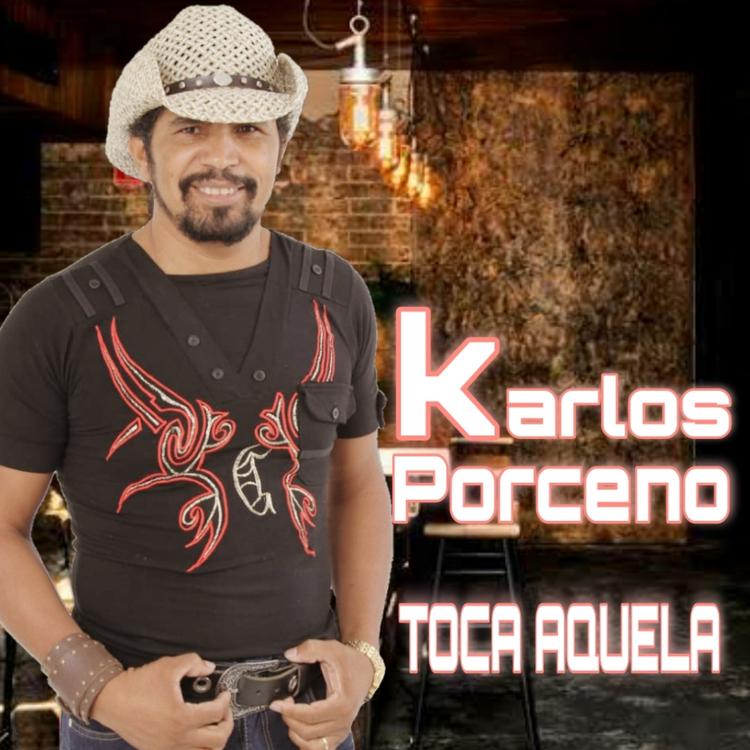 Karlos Porceno's avatar image