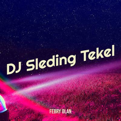 DJ Sleding Tekel's cover