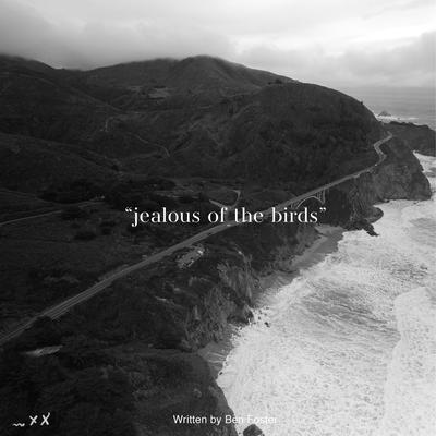 Jealous of the Birds By Ben Foster's cover