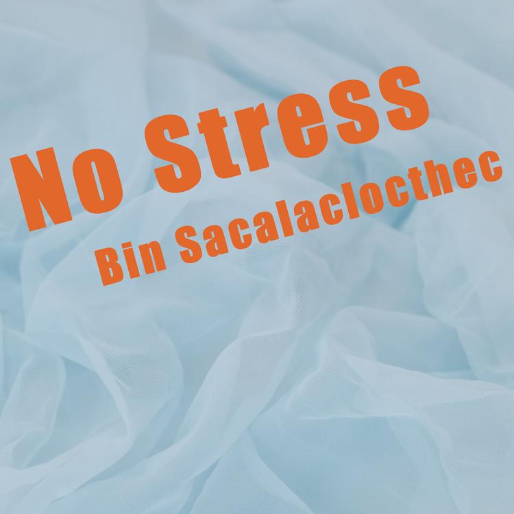 Bin Sacalaclocthec's avatar image