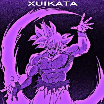 XUIKATA By †SPIDER†'s cover