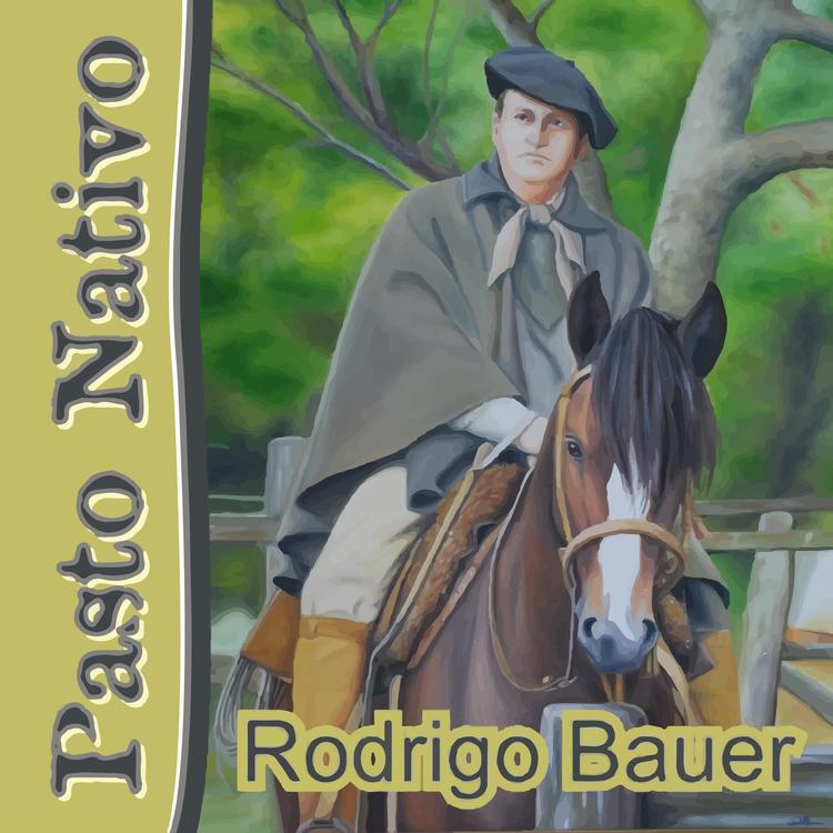 Rodrigo Bauer's avatar image