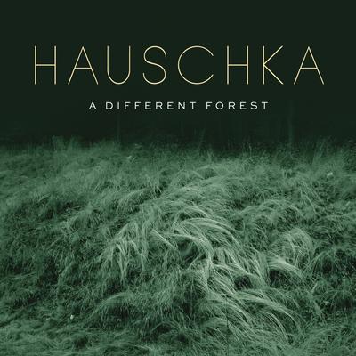 Woodworkers By Hauschka's cover