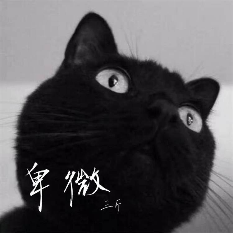 佟鑫's avatar image