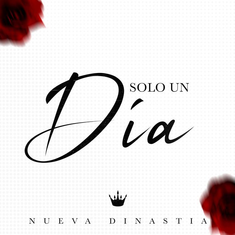 Nueva Dinastia's avatar image