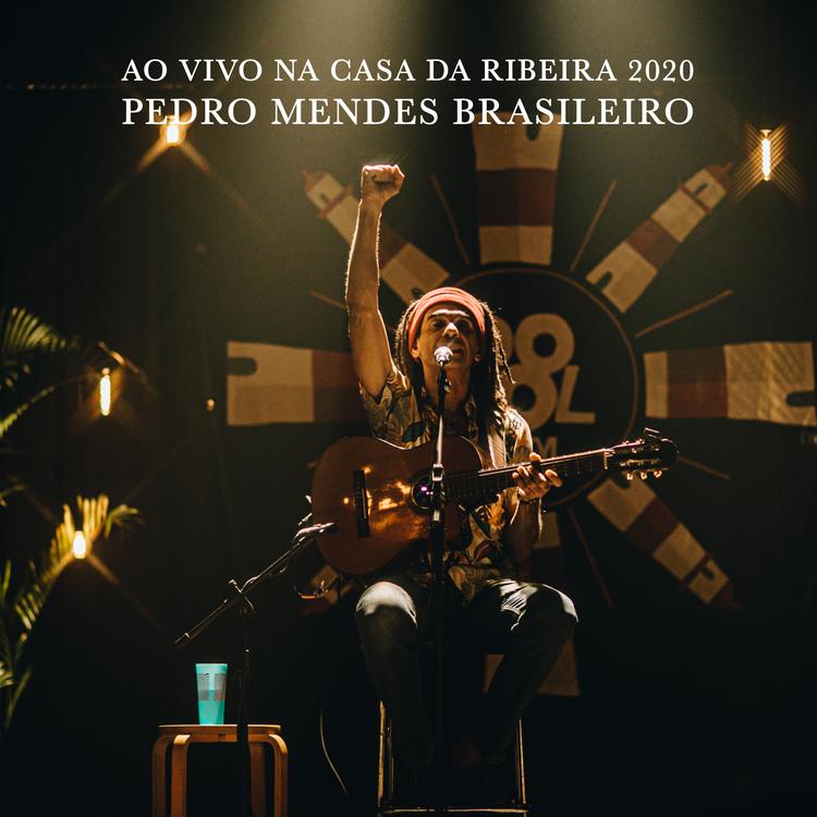 Pedro Mendes Brasileiro's avatar image