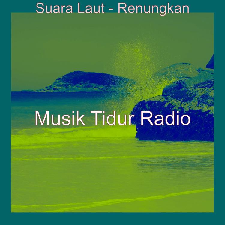 Musik Tidur Radio's avatar image