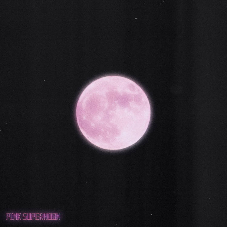 Pink Supermoon's avatar image